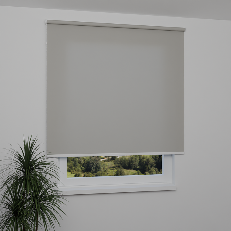 Image: RTBEN7670-window.png