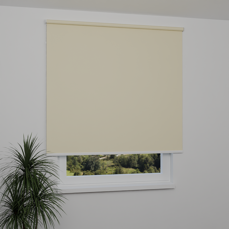 Image: MGR057-window.png