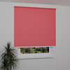 Image: MGR068-window.png