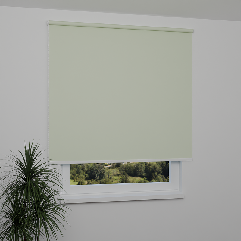 Image: MGR055-window.png
