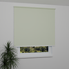 Image: MGR055-window.png