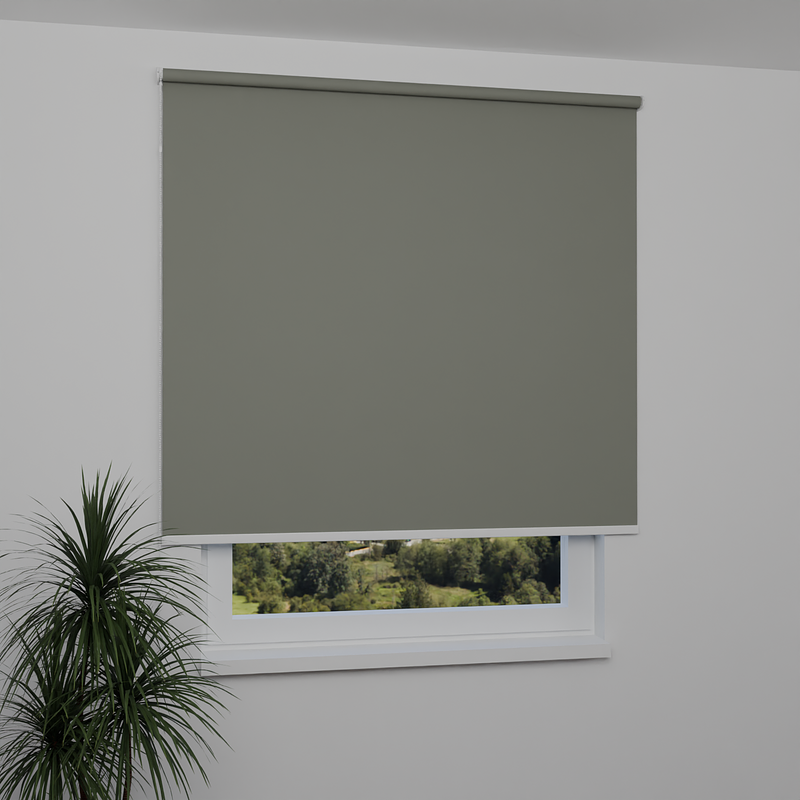 Image: MGR061-window.png
