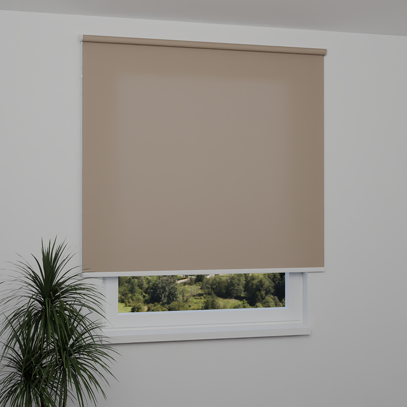 Image: RTBEN0555-window.png