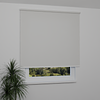 Image: AN2025-window.png