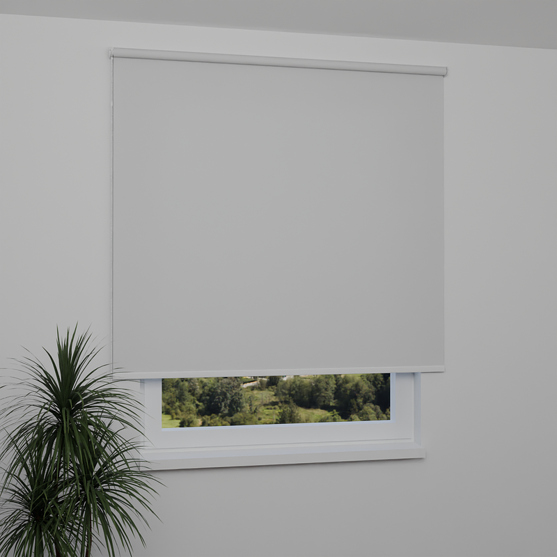 Image: AN1021-window.png