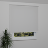 Image: AN1021-window.png