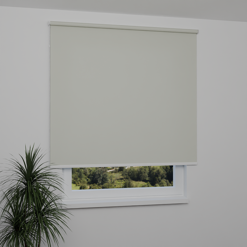 Image: AN2103-window.png