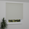 Image: AN2103-window.png