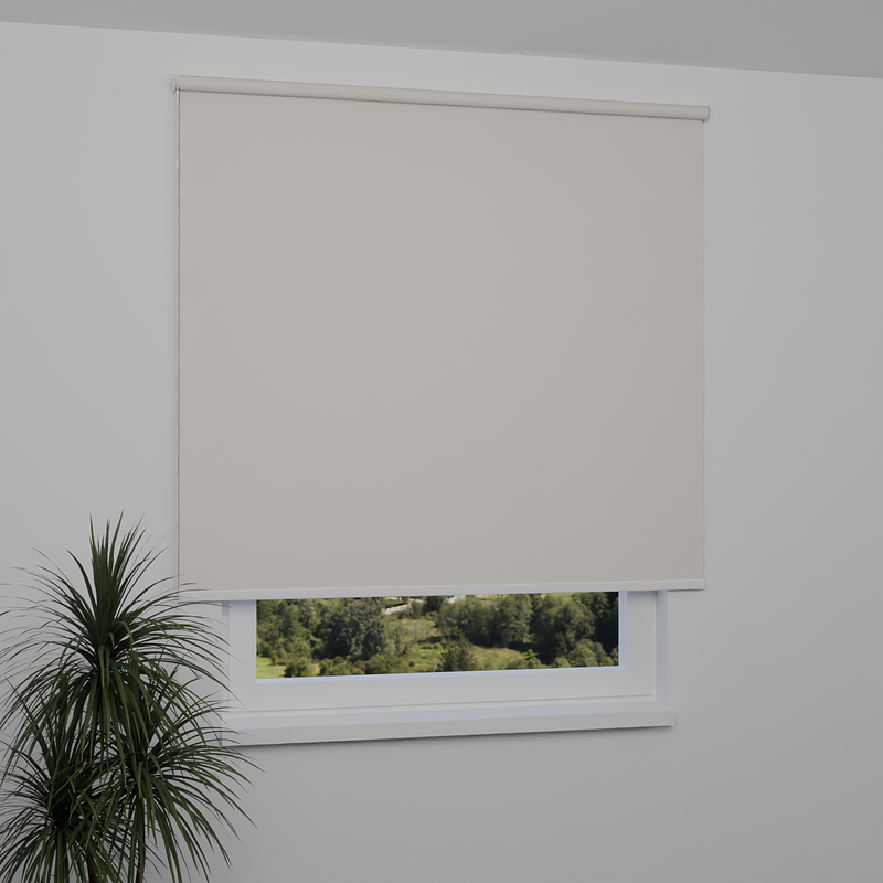 Image: ANPR2272-window.png