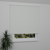 Image: MGR052-window.png
