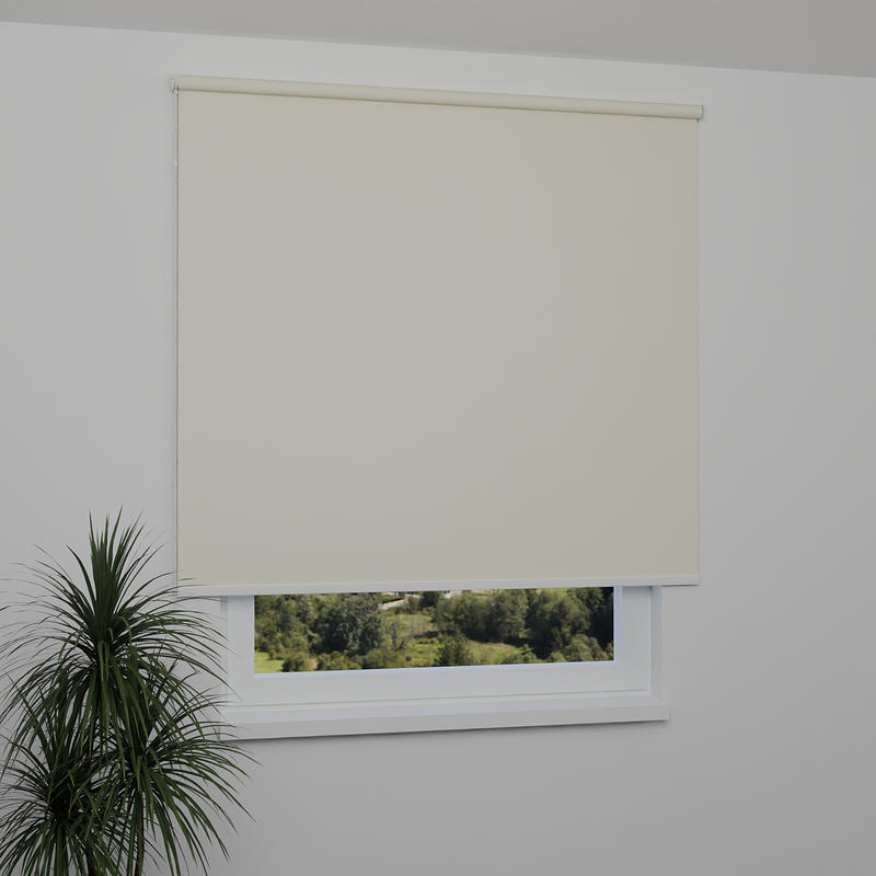 Image: MGR056-window.png
