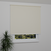 Image: MGR056-window.png