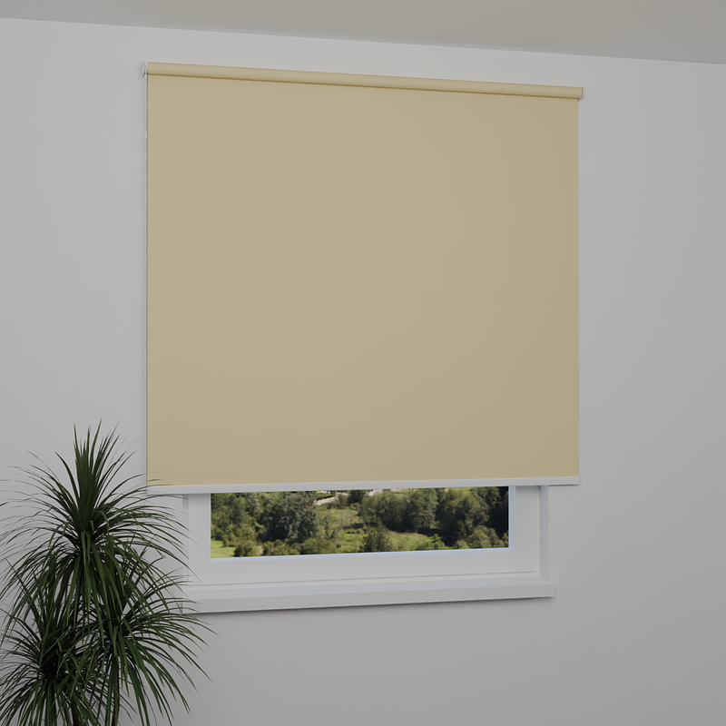 Image: MGR059-window.png