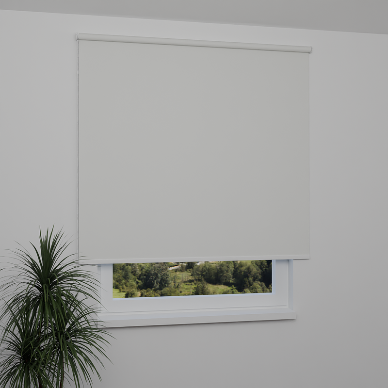 Image: MGR054-window.png