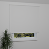 Image: MGR051-window.png
