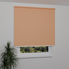 Image: MGR060-window.png