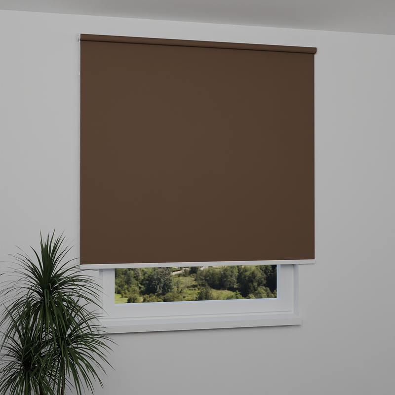 Image: MGR066-window.png