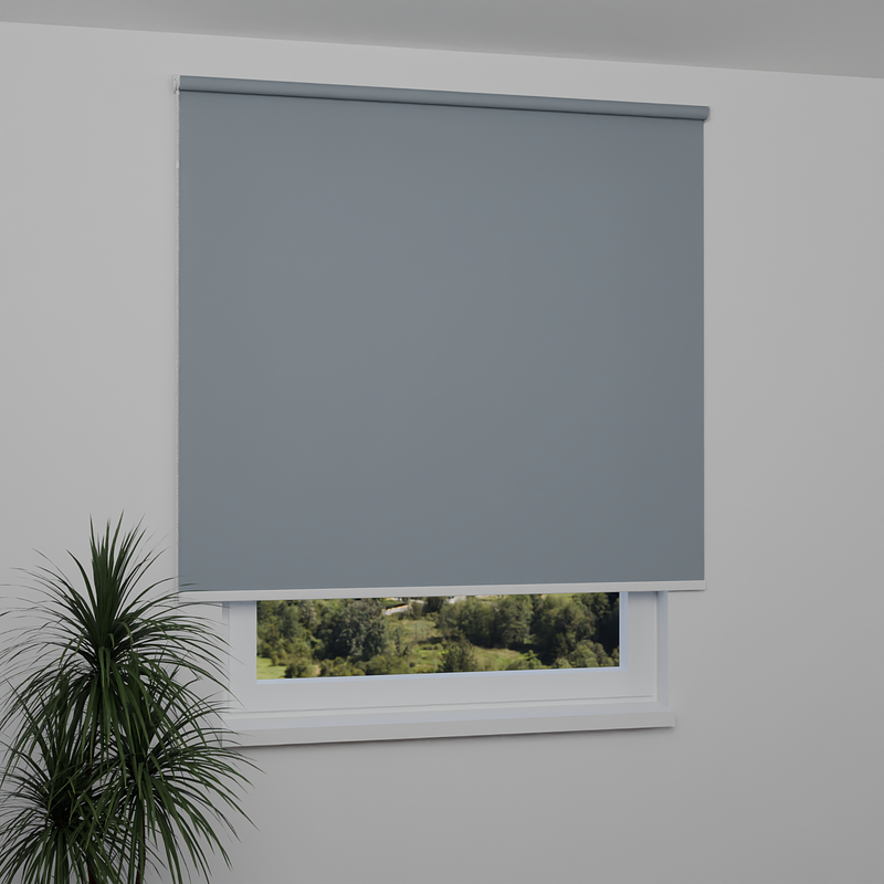 Image: ANPR9001-window.png