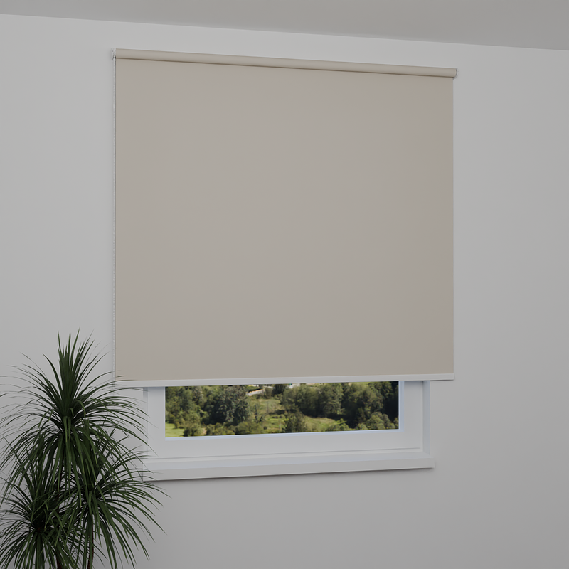 Image: ANPR2349-window.png