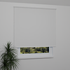 Image: ANPR1021-window.png