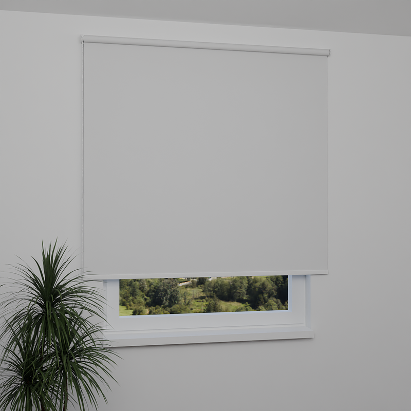 Image: ANPR9124-window.png