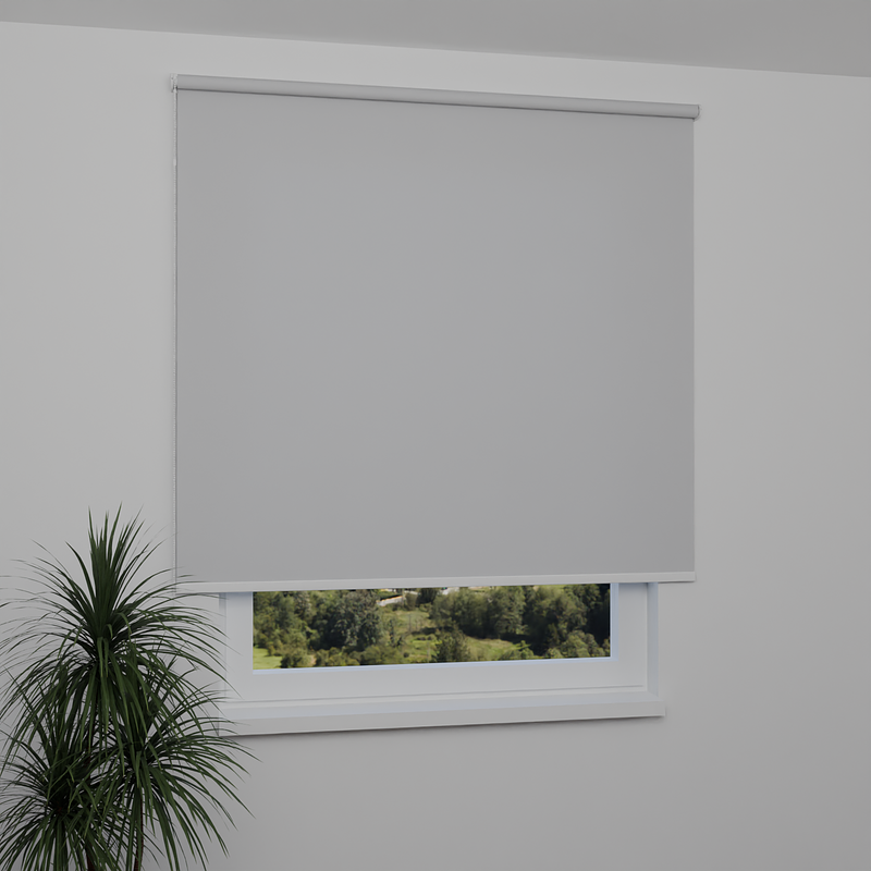 Image: AN9037-window.png