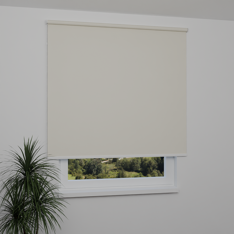 Image: ANPR2103-window.png