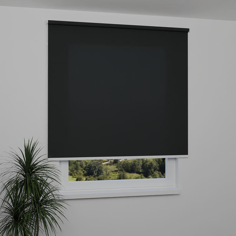 Image: RTBEN1991-window.png