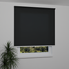 Image: RTBEN1991-window.png