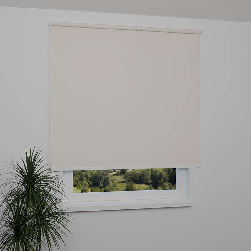 Image: MGR058-window.png