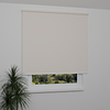 Image: MGR058-window.png