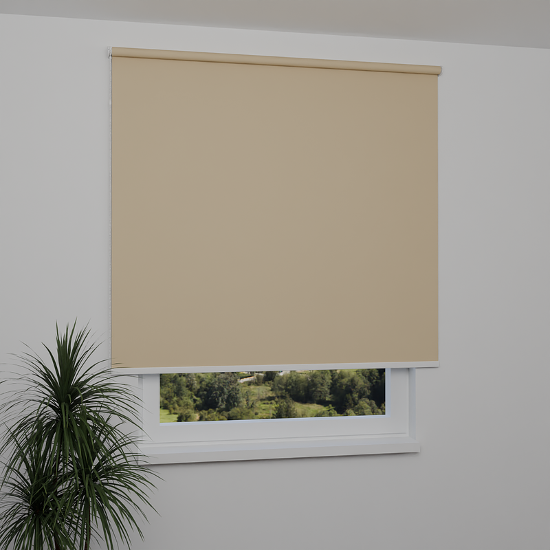 Image: MGR053-window.png