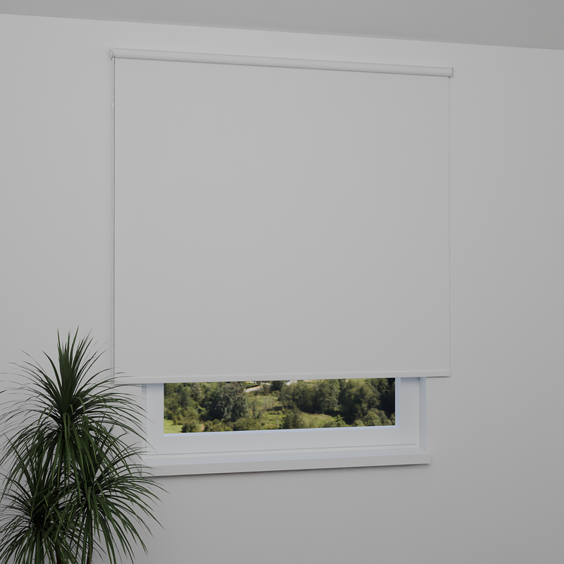 Image: MGR062-window.png