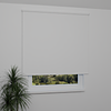 Image: MGR062-window.png