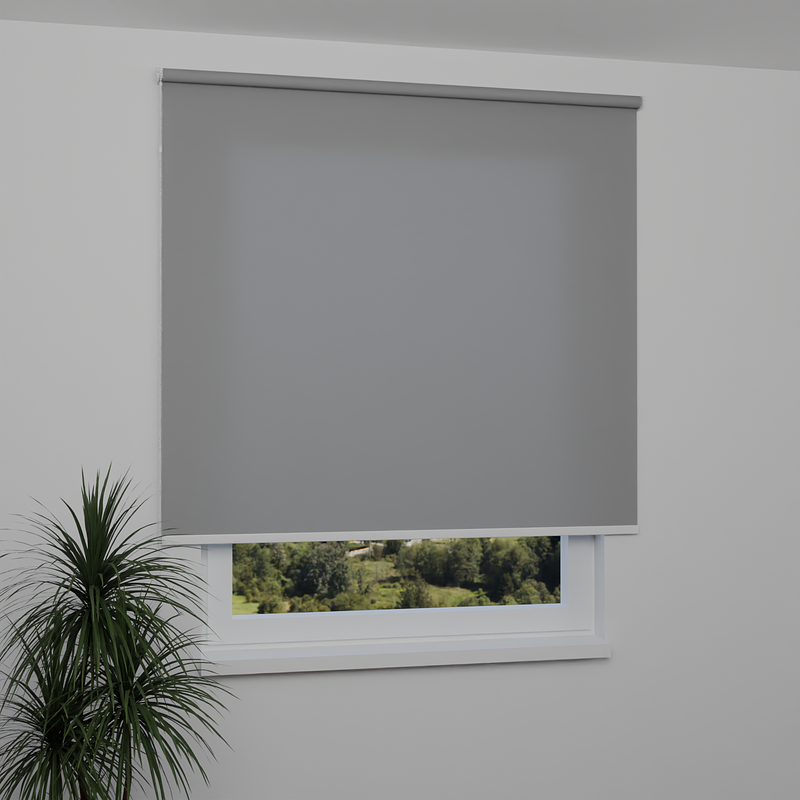 Image: RTBEN0558-window.png