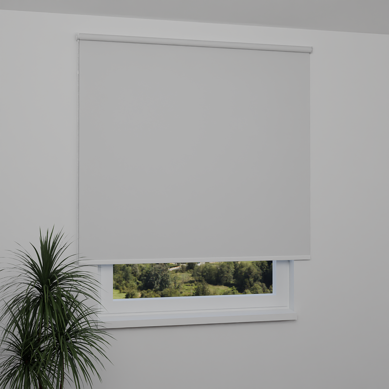 Image: ANPR9037-window.png