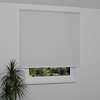 Image: ANPR9037-window.png
