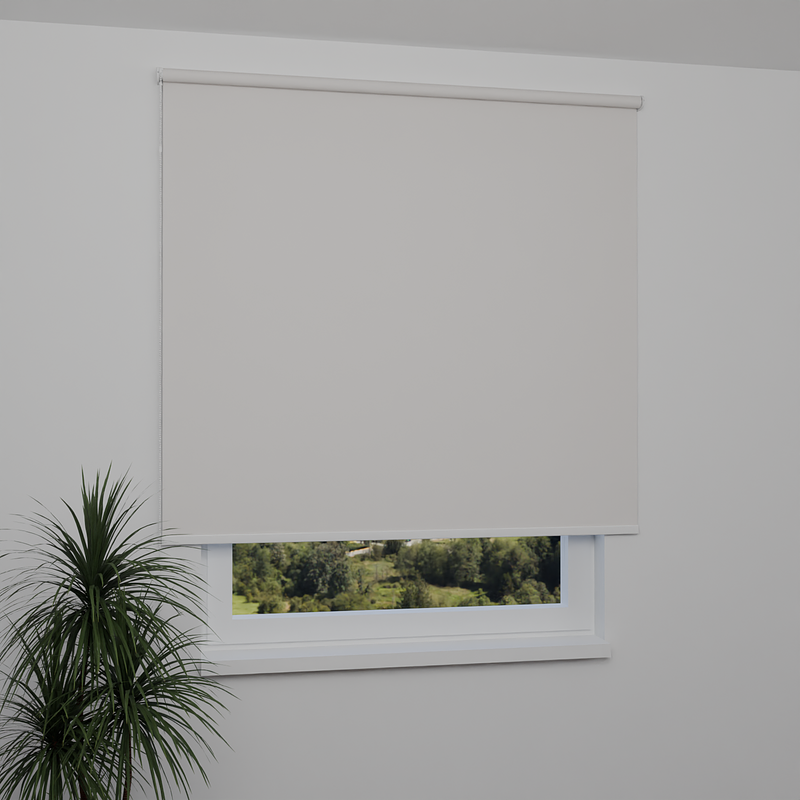 Image: ANPR2025-window.png