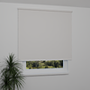 Image: ANPR2025-window.png