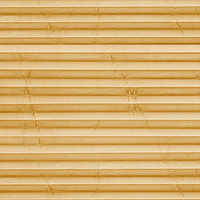 Image: MTP23.jpg
