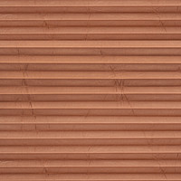 Image: MTP18.jpg