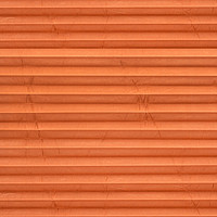 Image: MTP24.jpg