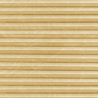 Image: MTCP205.jpg
