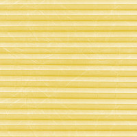 Image: MTCP209.jpg