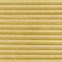 Image: MTCP219.jpg