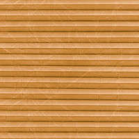 Image: MTCP222.jpg
