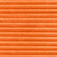 Image: MTCP224.jpg