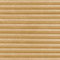 Image: MTCP207.jpg