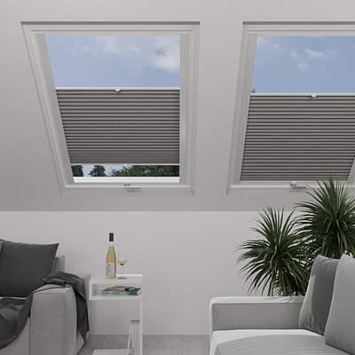 Image: MTMO75313-skylight.png