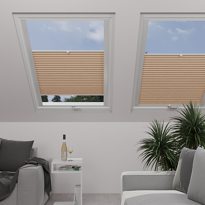 Image: MTMO75303-skylight.png